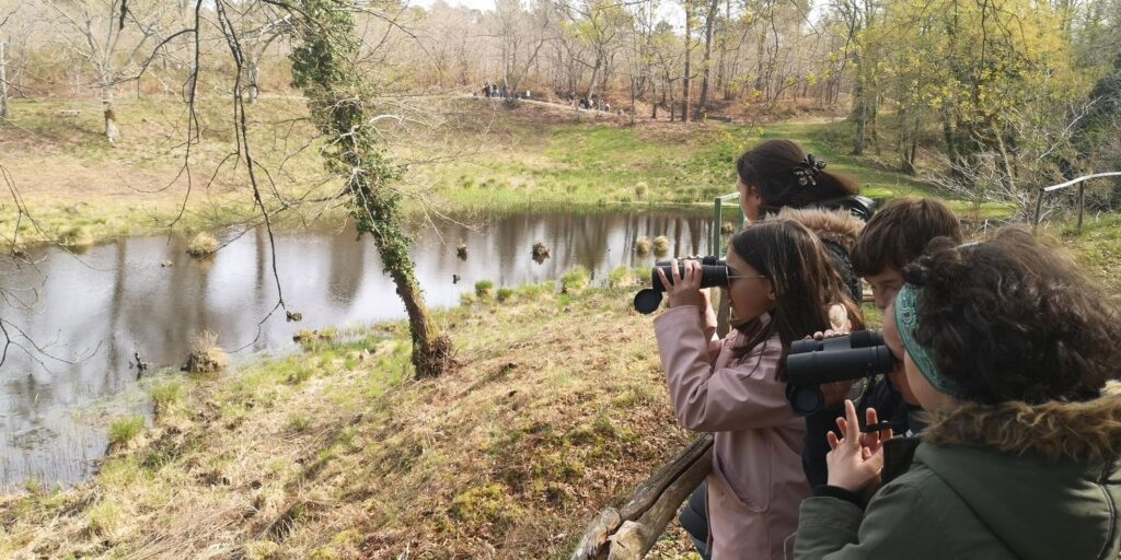 apprendre-autrement-en-pleine-nature
